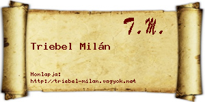 Triebel Milán névjegykártya